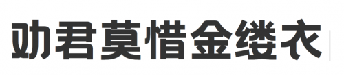 有哪些值得推薦的字體1329